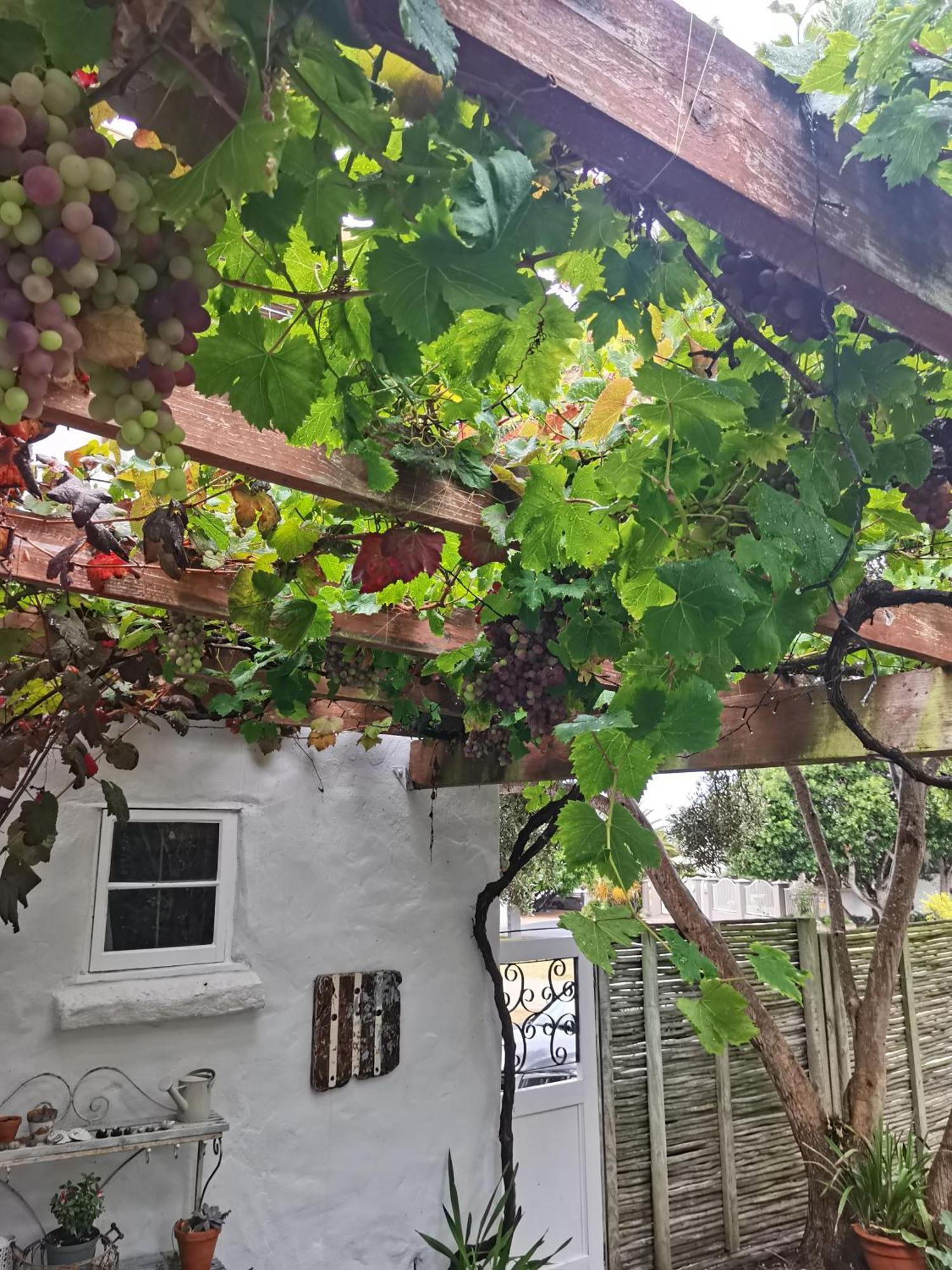 Vermont Lofts Hermanus Buitenkant foto
